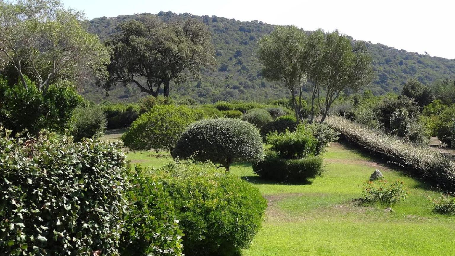 Les Hauts De Santa Giulia 维琪奥港 外观 照片